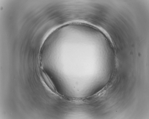 X0000057090911200510071908