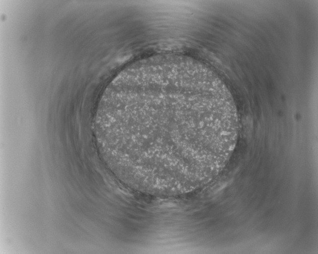 X0000057090913200510071907