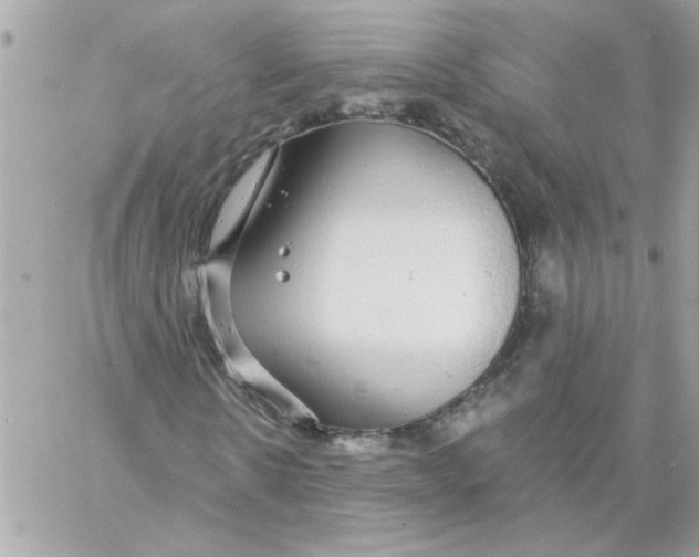 X0000057090914200510071907