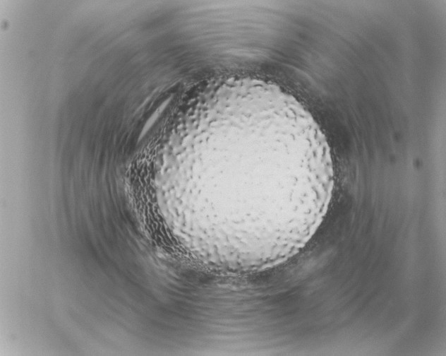 X0000057090915200510071907