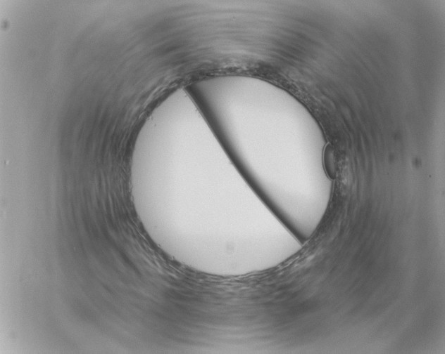 X0000057090916200510071907