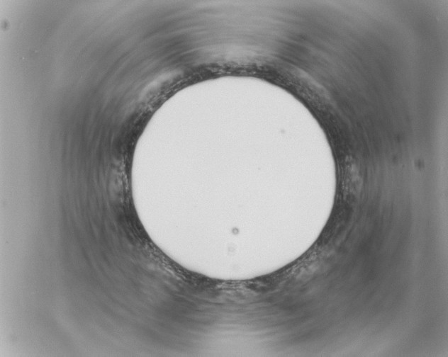 X0000057090918200510071907