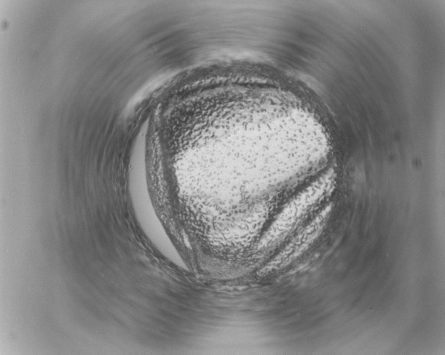 X0000057090919200510071907