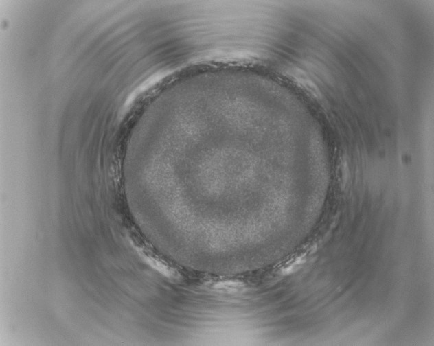 X0000057090920200510071907