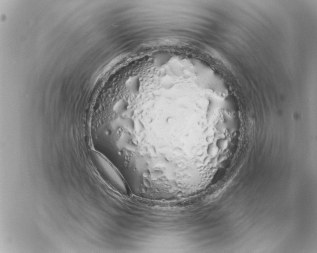 X0000057090921200510071907