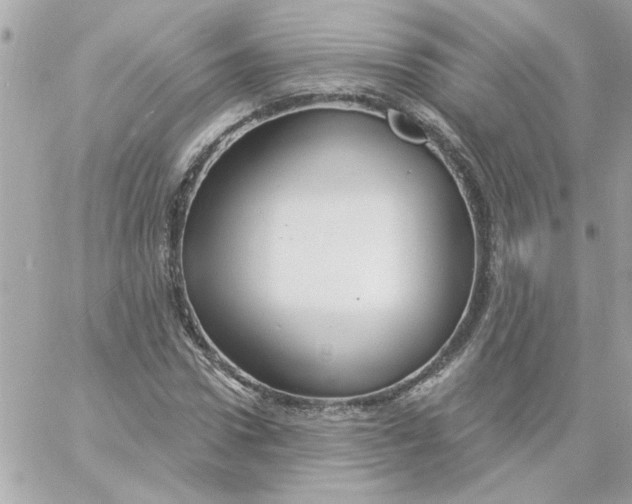 X0000057090922200510071907