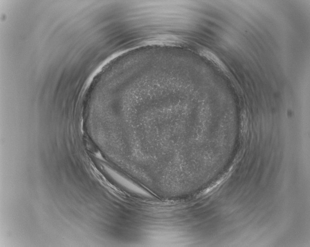 X0000057090923200510071907