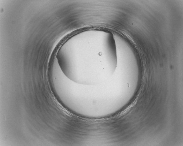 X0000057090924200510071907