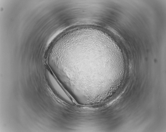 X0000057090925200510071907