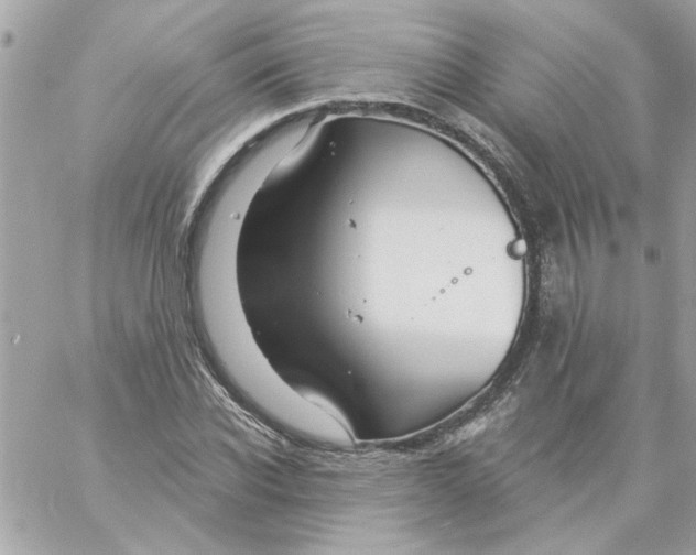 X0000057090926200510071907