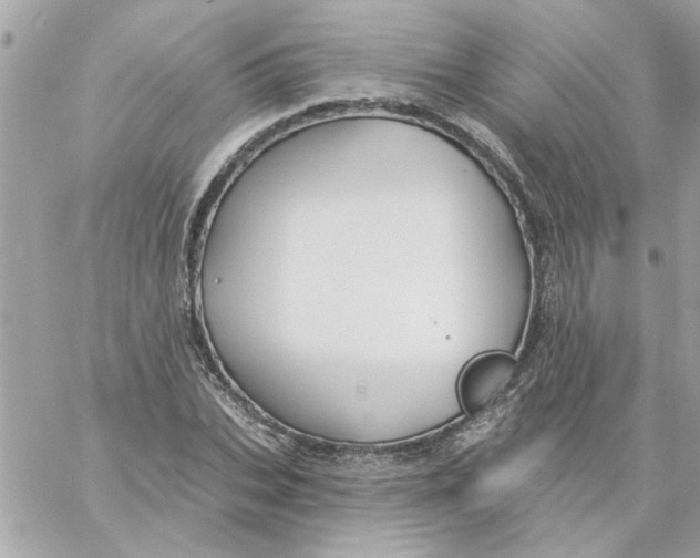 X0000057090927200510071907