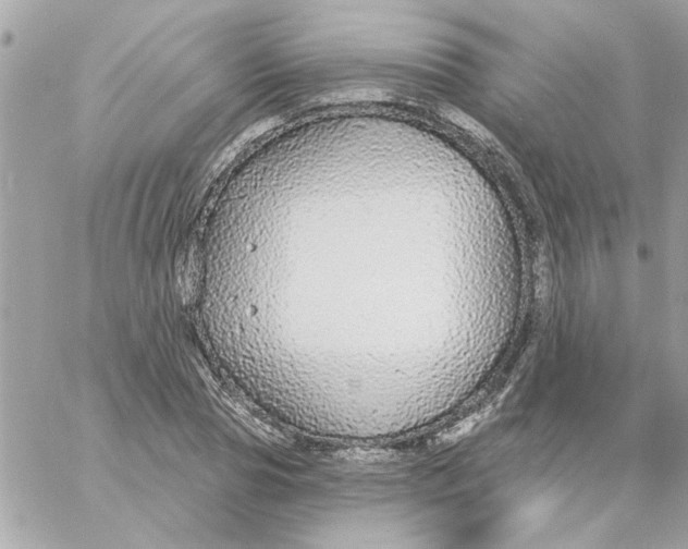 X0000057090929200510071907