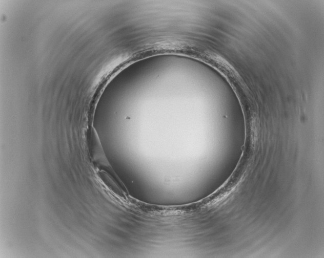 X0000057090930200510071907