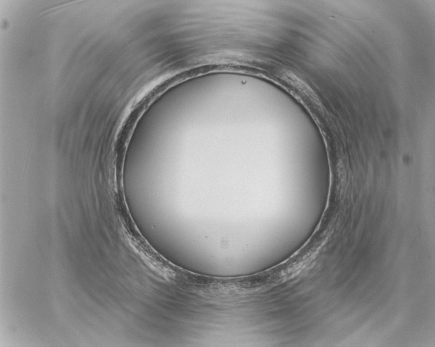 X0000057090931200510071907