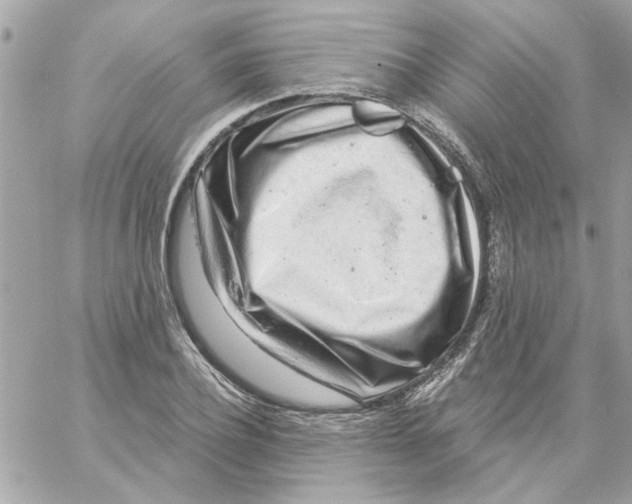 X0000057090932200510071907