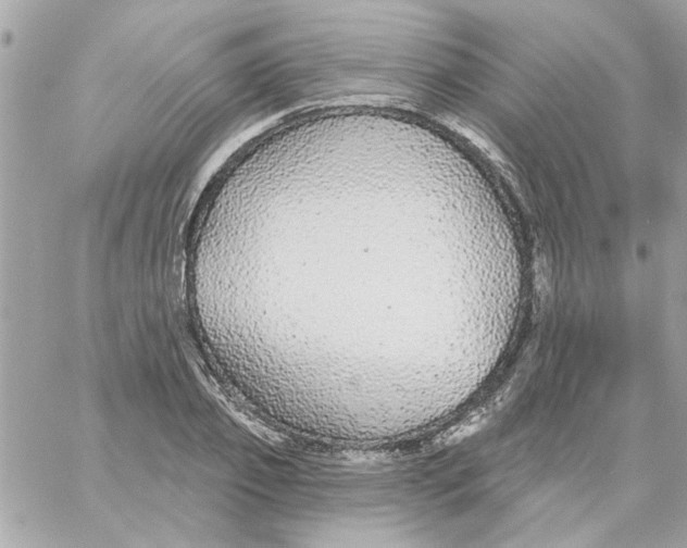 X0000057090933200510071907