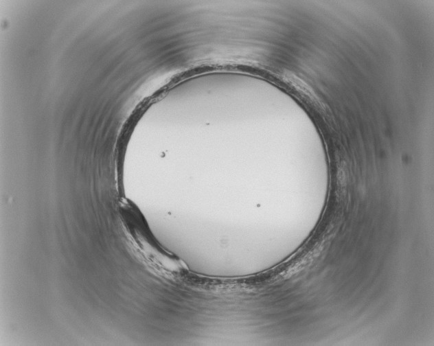 X0000057090934200510071907