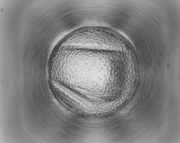 X0000057090935200510071907