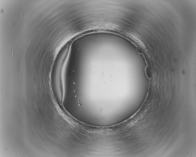 X0000057090936200510071907