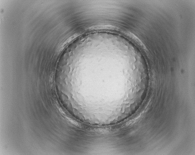 X0000057090937200510071907