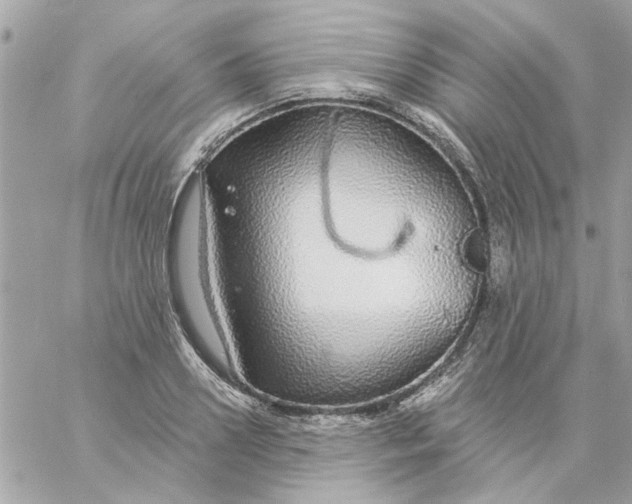 X0000057090938200510071907