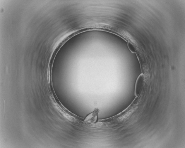 X0000057090940200510071907