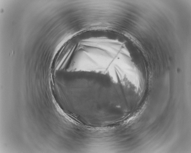 X0000057090941200510071907