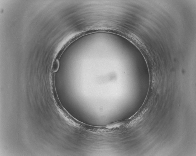 X0000057090942200510071907