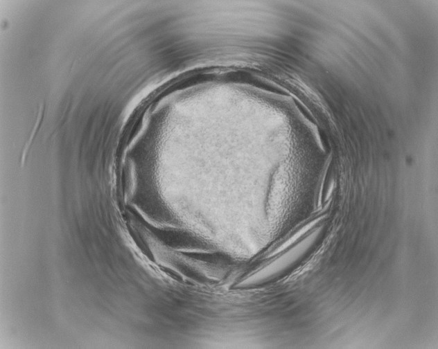 X0000057090944200510071907