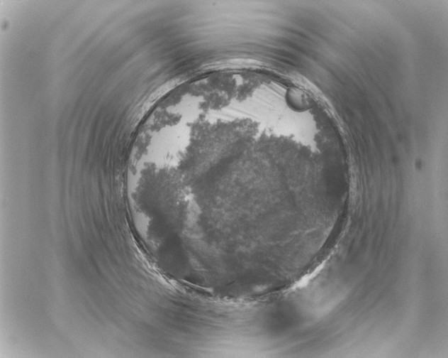 X0000057090945200510071907