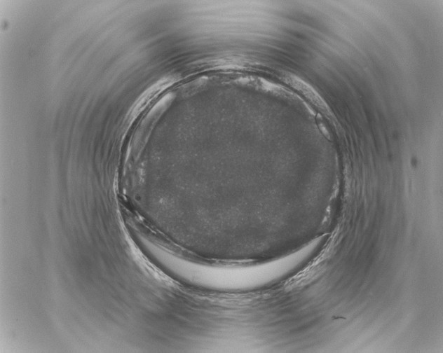 X0000057090946200510071907