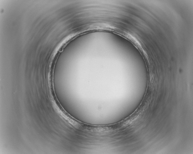 X0000057090947200510071907