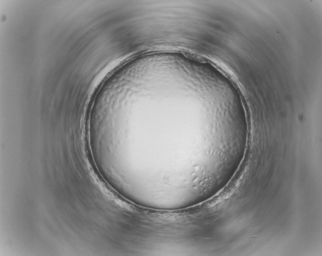 X0000057090949200510071908