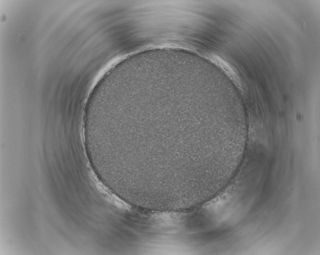 X0000057090950200510071908