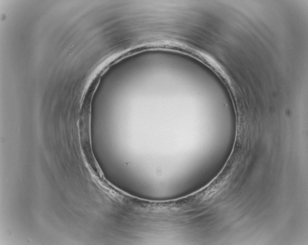 X0000057090951200510071908