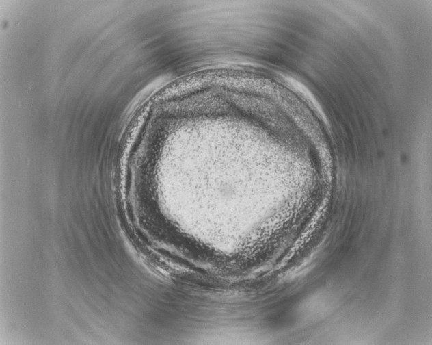 X0000057090954200510071908