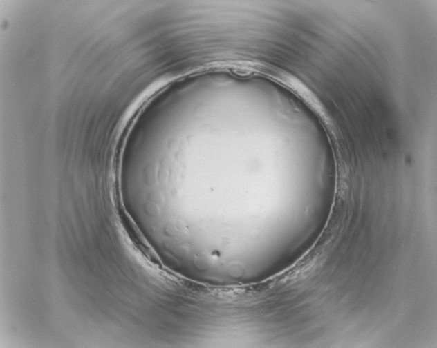 X0000057090955200510071908