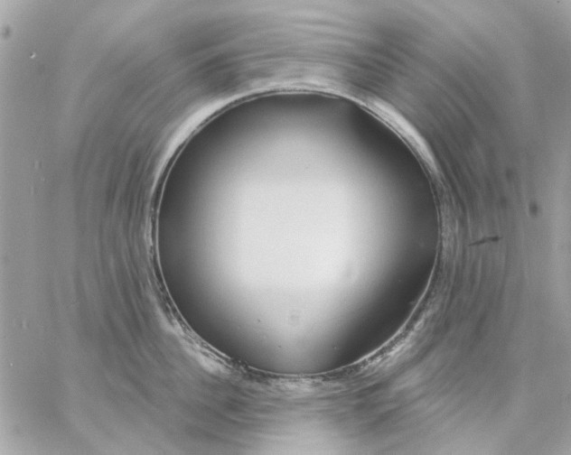 X0000057090956200510071908