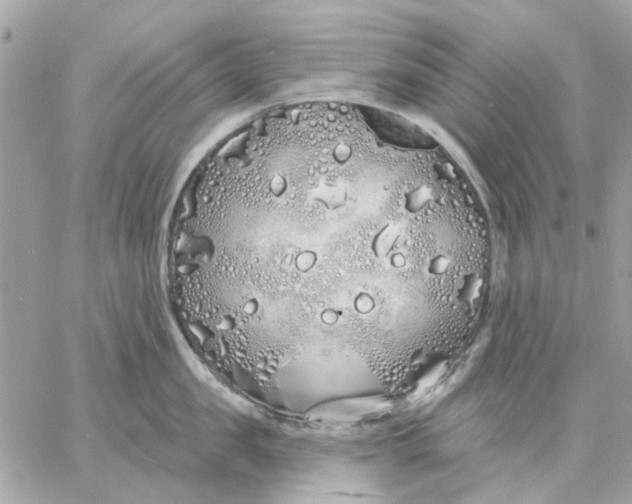 X0000057090957200510071908