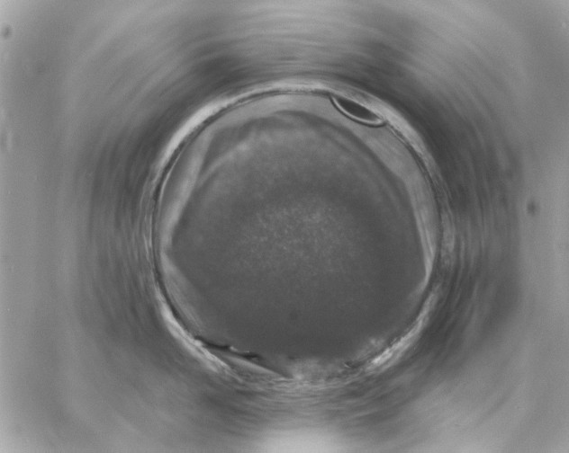 X0000057090958200510071908