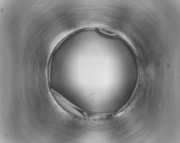 X0000057090959200510071908