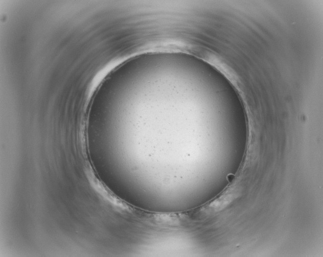 X0000057090960200510071908