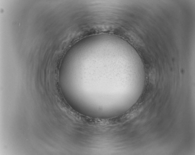 X0000057090961200510071907