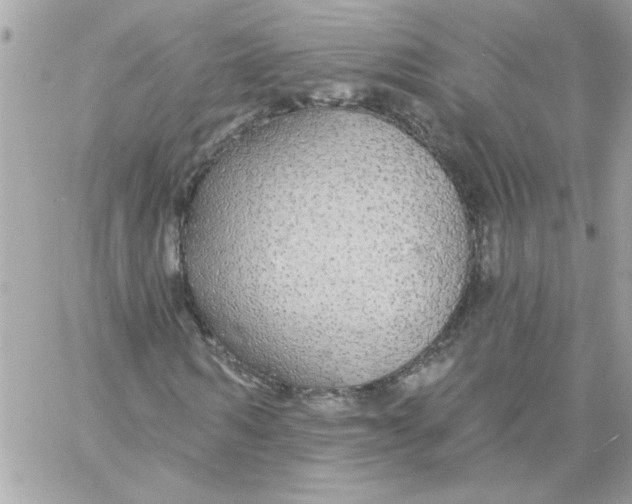 X0000057090962200510071907