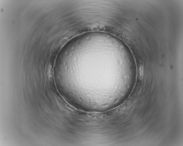 X0000057090963200510071907