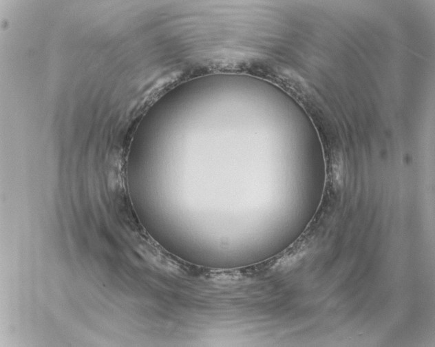 X0000057090964200510071907