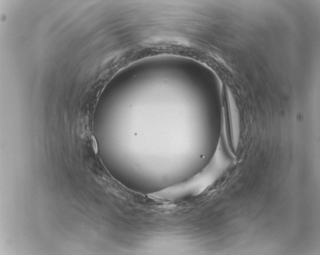 X0000057090965200510071907