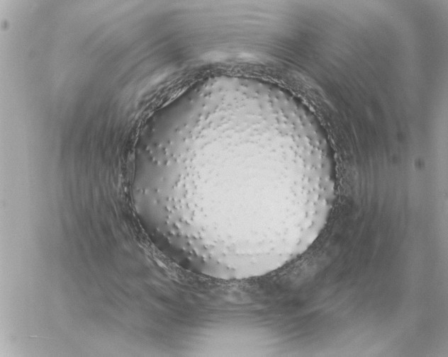 X0000057090966200510071907