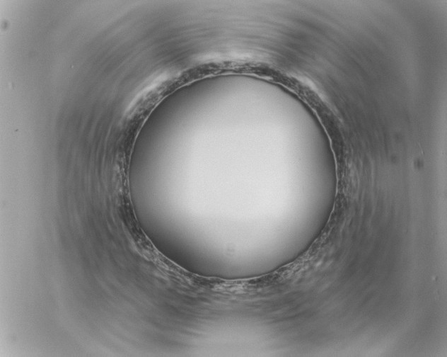 X0000057090967200510071907