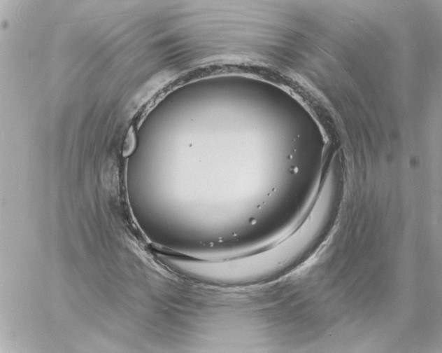 X0000057090969200510071907